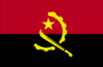 Flag Icon
