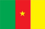 Flag Icon