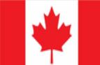 Flag Icon