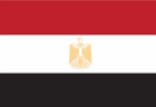Flag Icon